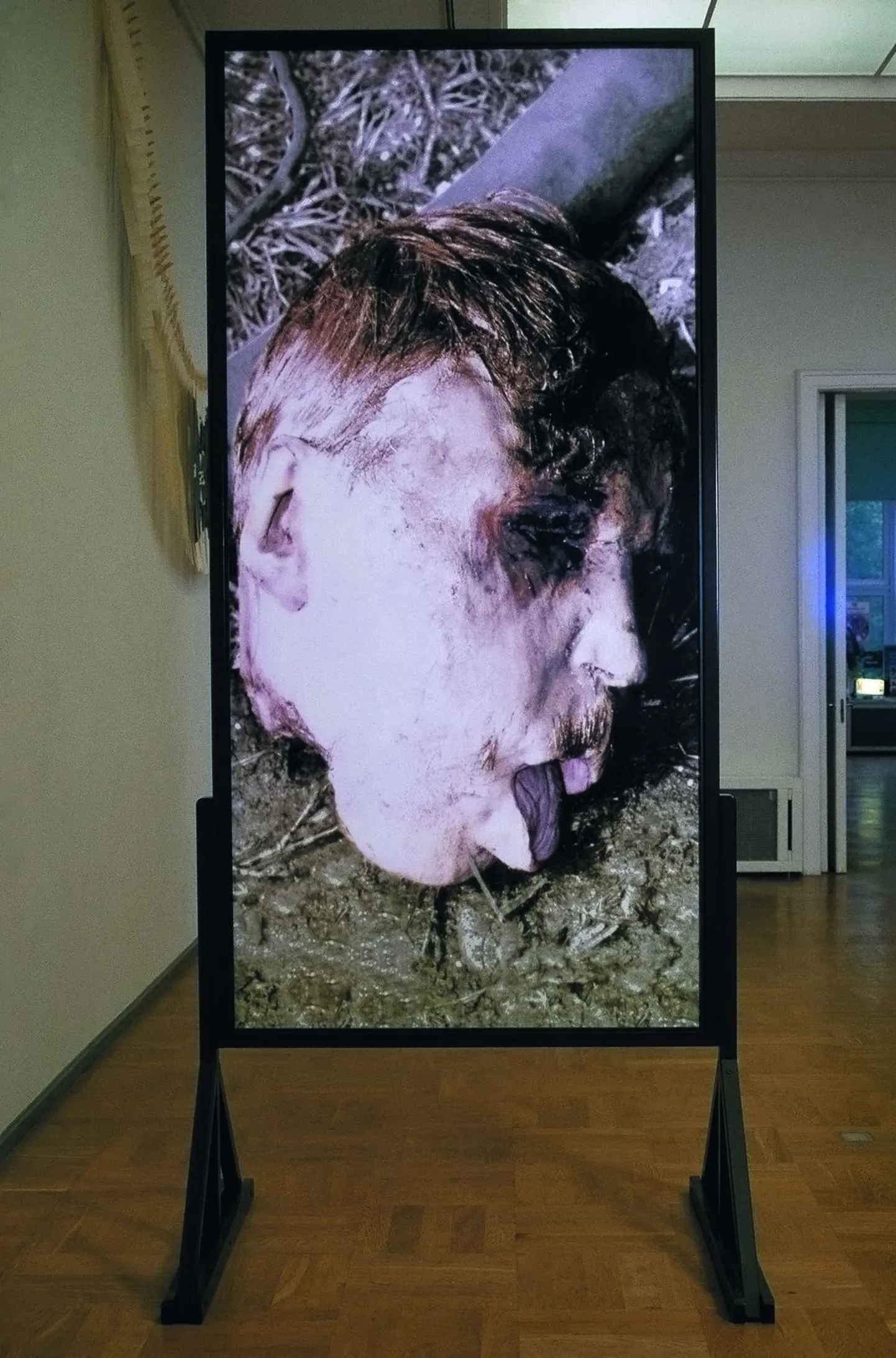 Liina Siib «Desidentifikatsioon» (1996).