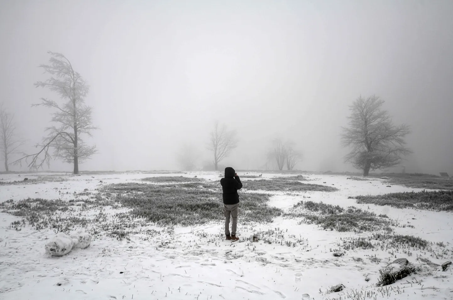 Raksta foto