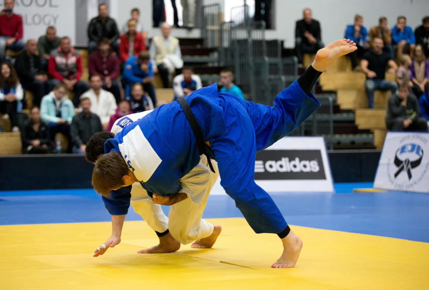 Judo. Foto on illustratiivne.