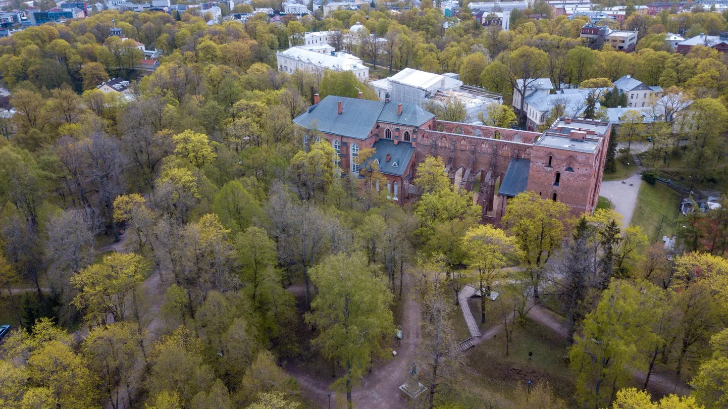 Toomemäe kõrgete puude all kasvab õrn muru, seepärast ei sobi vilistlaspäeva mõttetalgute lavad ei Musumäe ega Baeri monumendi naabrusse (piirkond pildi allservas). Siiski pole kahtlust, et mõttetalgud oma koha leiavad ning loodus saab hoitud.