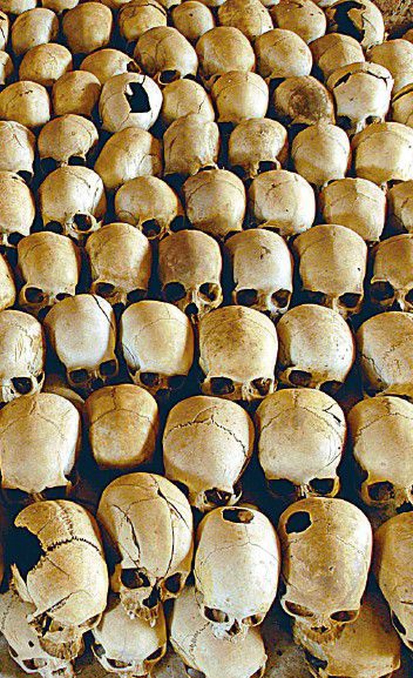 Черепа убитых во время геноцида в церкви Ньарамы.