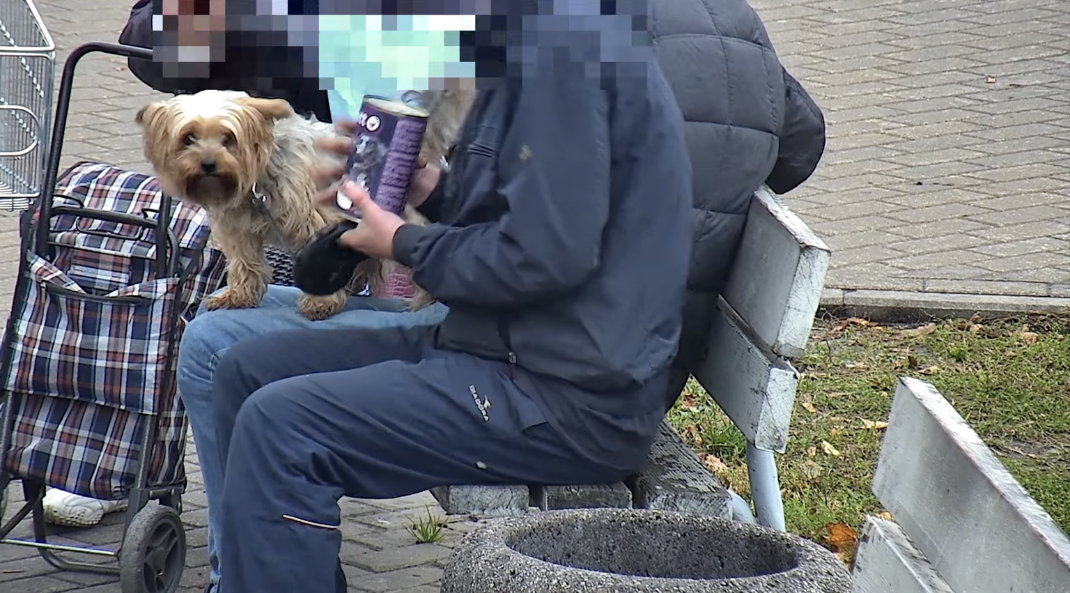 Vīrietis Vecmilgrāvī nozog pārtikas produktus un pie veikala pabaro suni