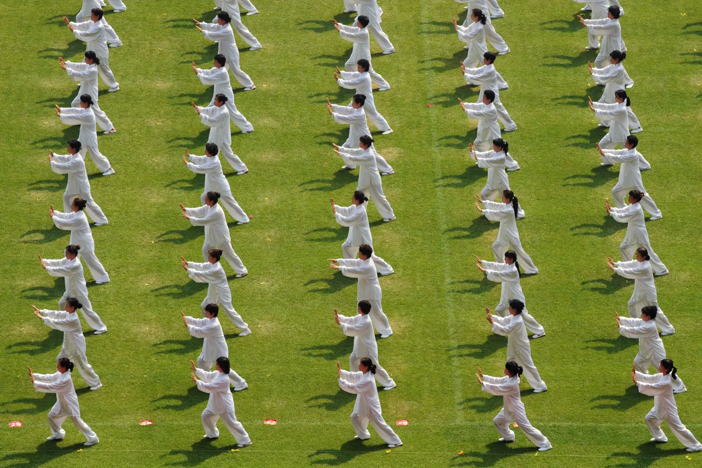 Tai chi harrastajad