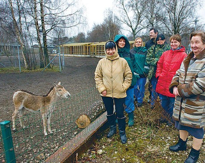 Дом князя Гагарина. Выпуск 5 (2009). Сборник научных статей и публикаций