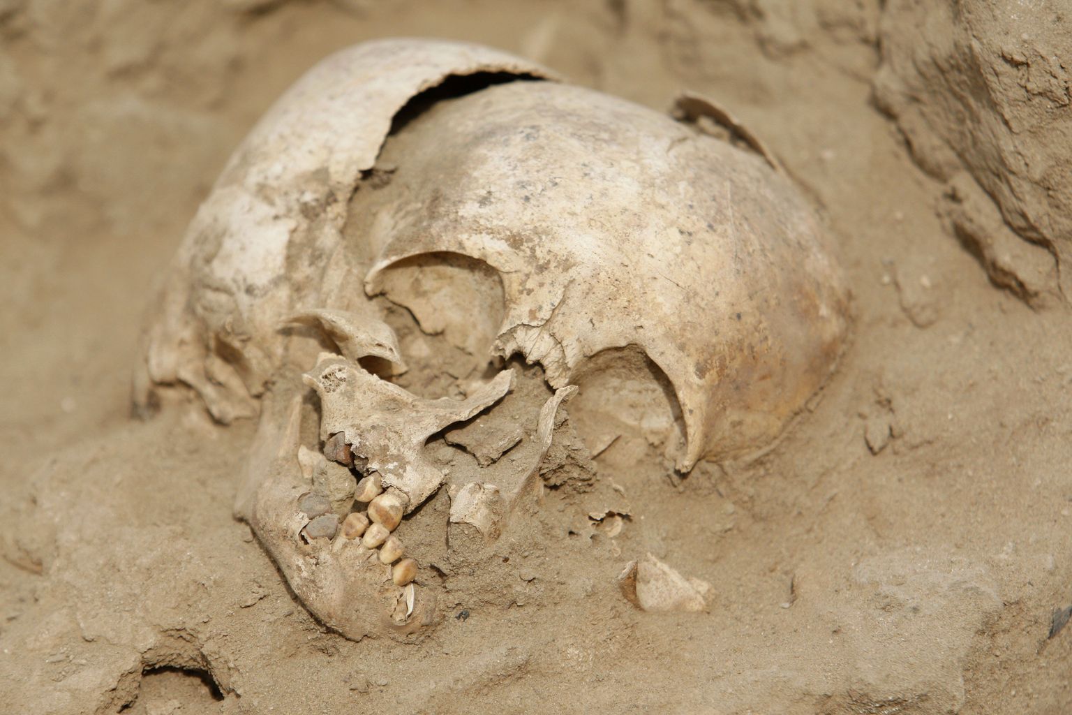 Peruust leiti tosina ohverdatud lapse jäänused