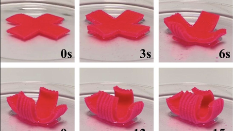 3D-printimist te teate aga nüüd räägime 4D-printimisest – mis see siis on?