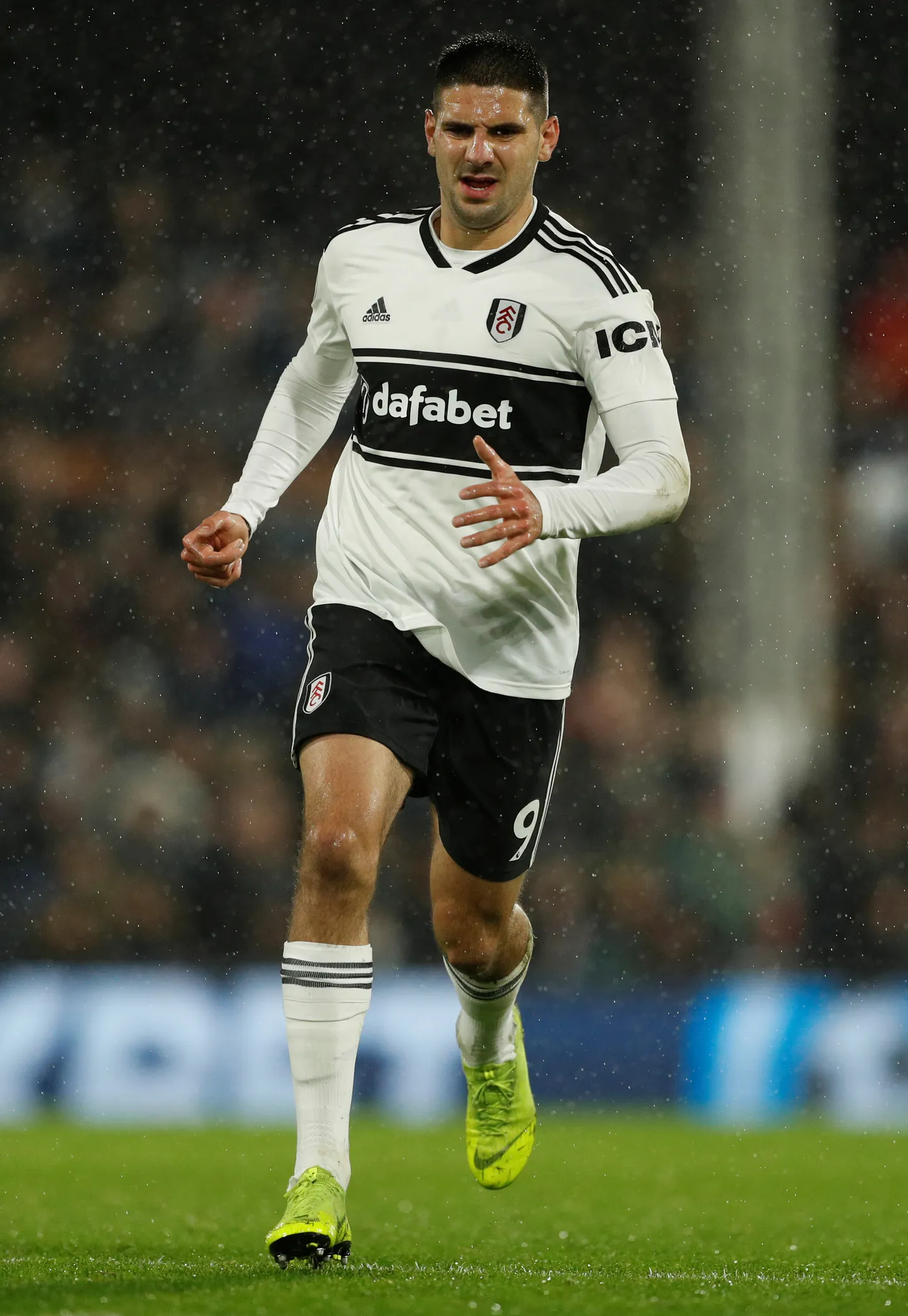 Aleksandar Mitrovic