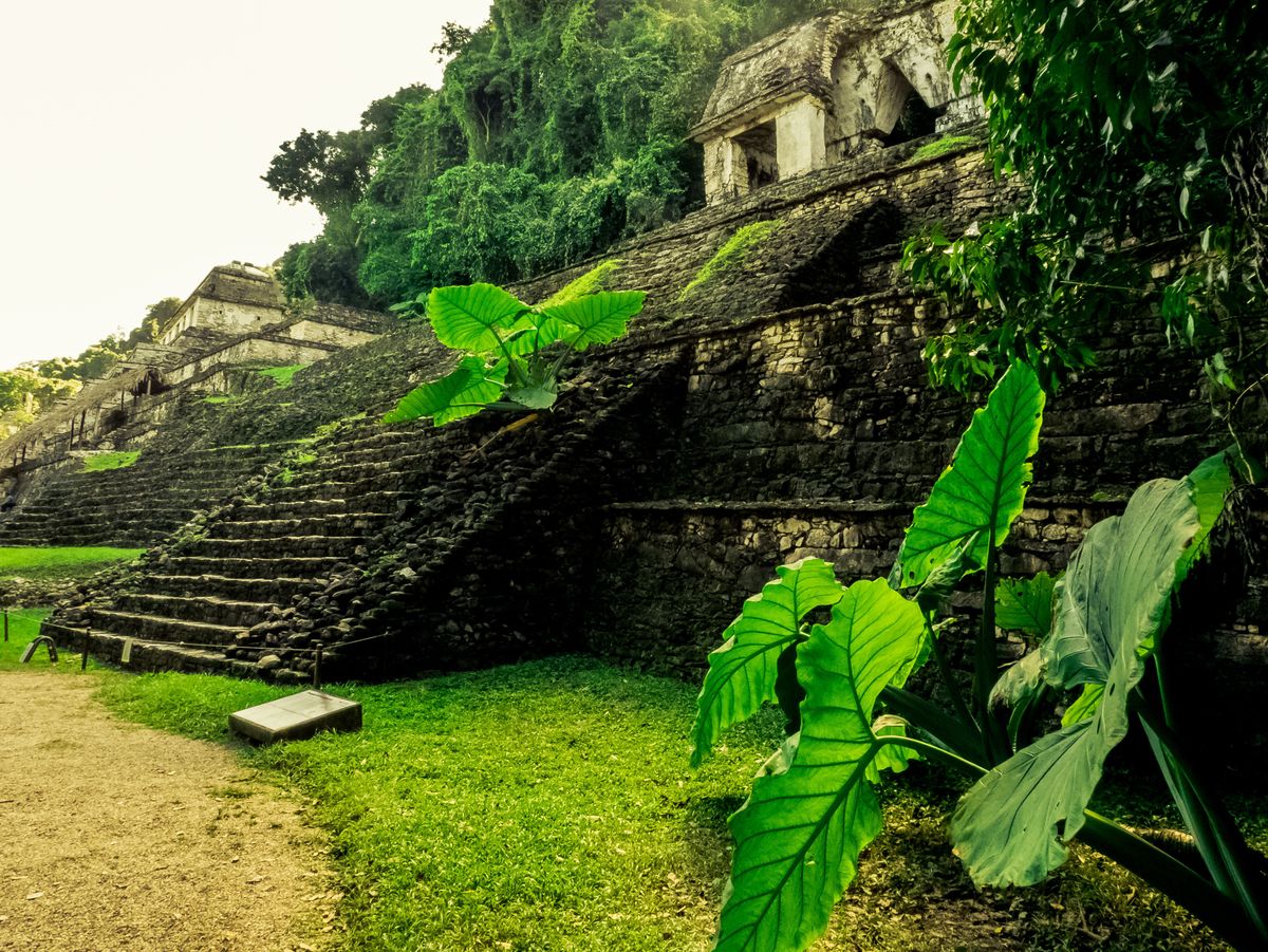 Üks Palenque püramiididest/ Foto:
