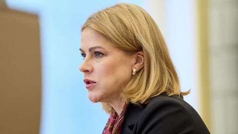 Силиня не исключает требование отставки министра земледелия. Краузе отвечает