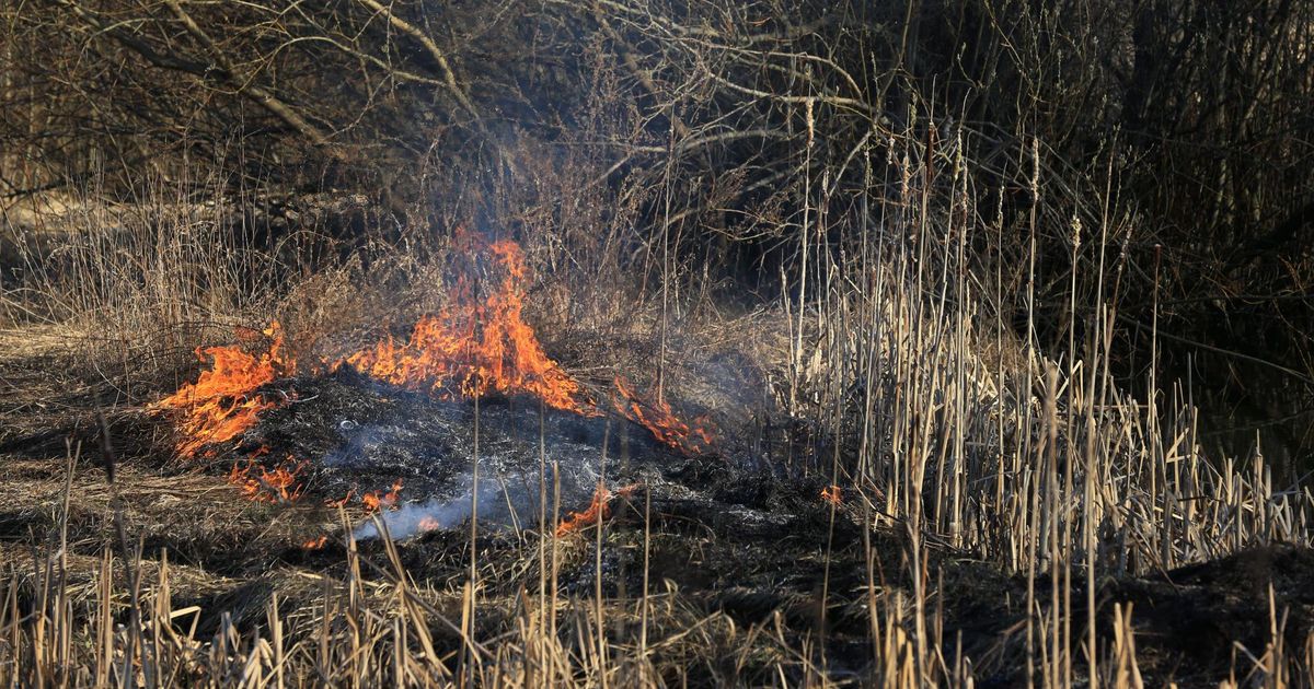 Häädemeeste vallas põles kulu
