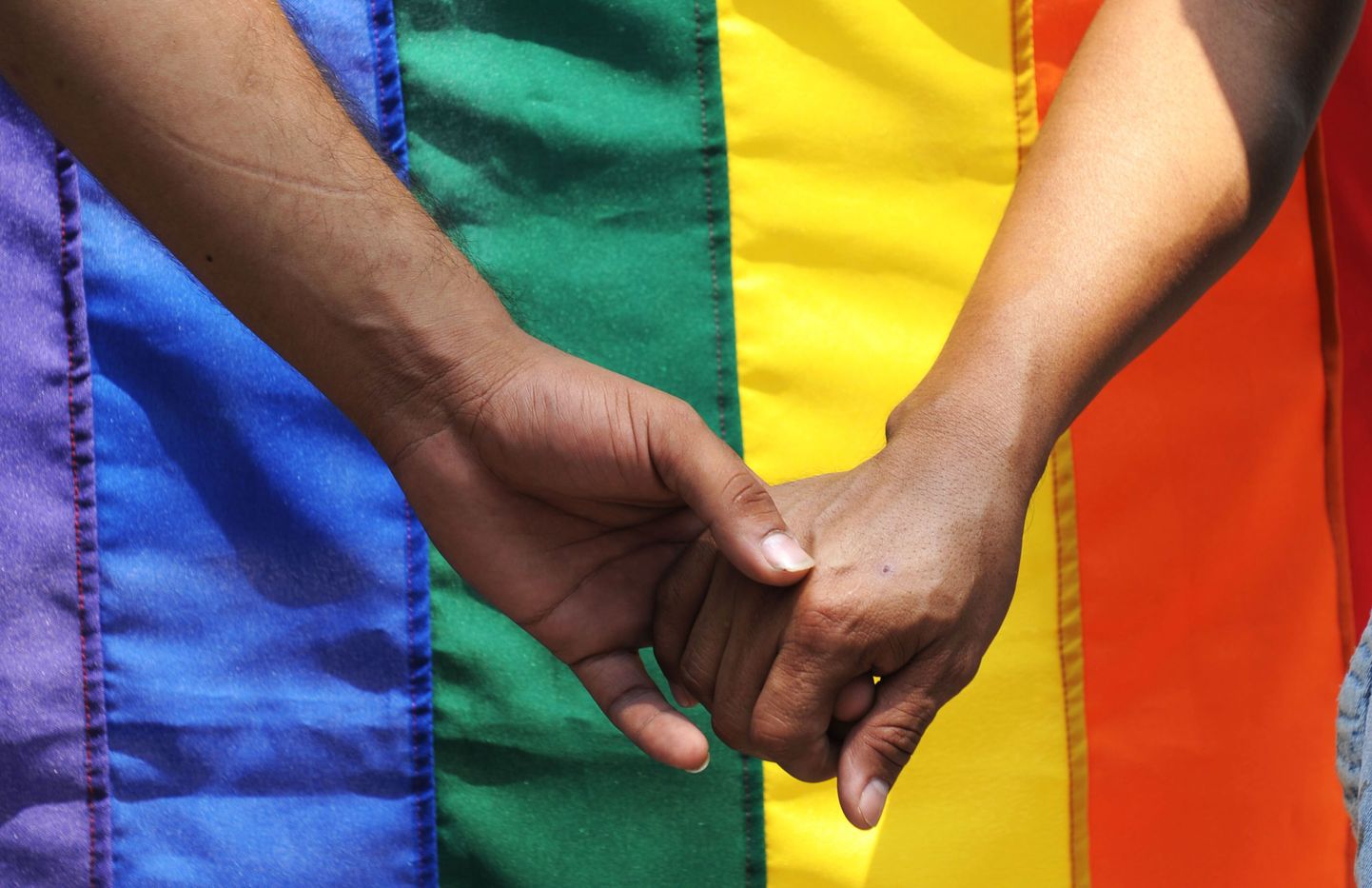 Europarlament taunis Leedus plaanitavat homofoobset õigusakti muudatust.