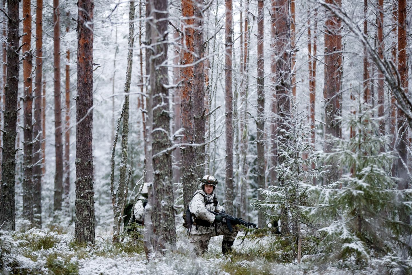 Soome sõdurid lumises metsas õppusel.