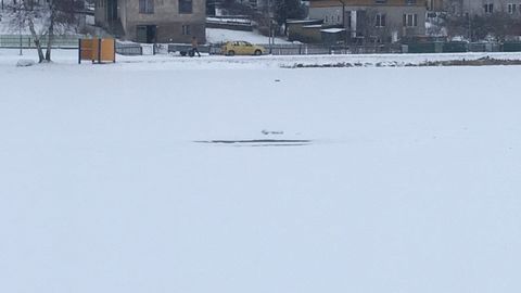 Paala järv Paala järv