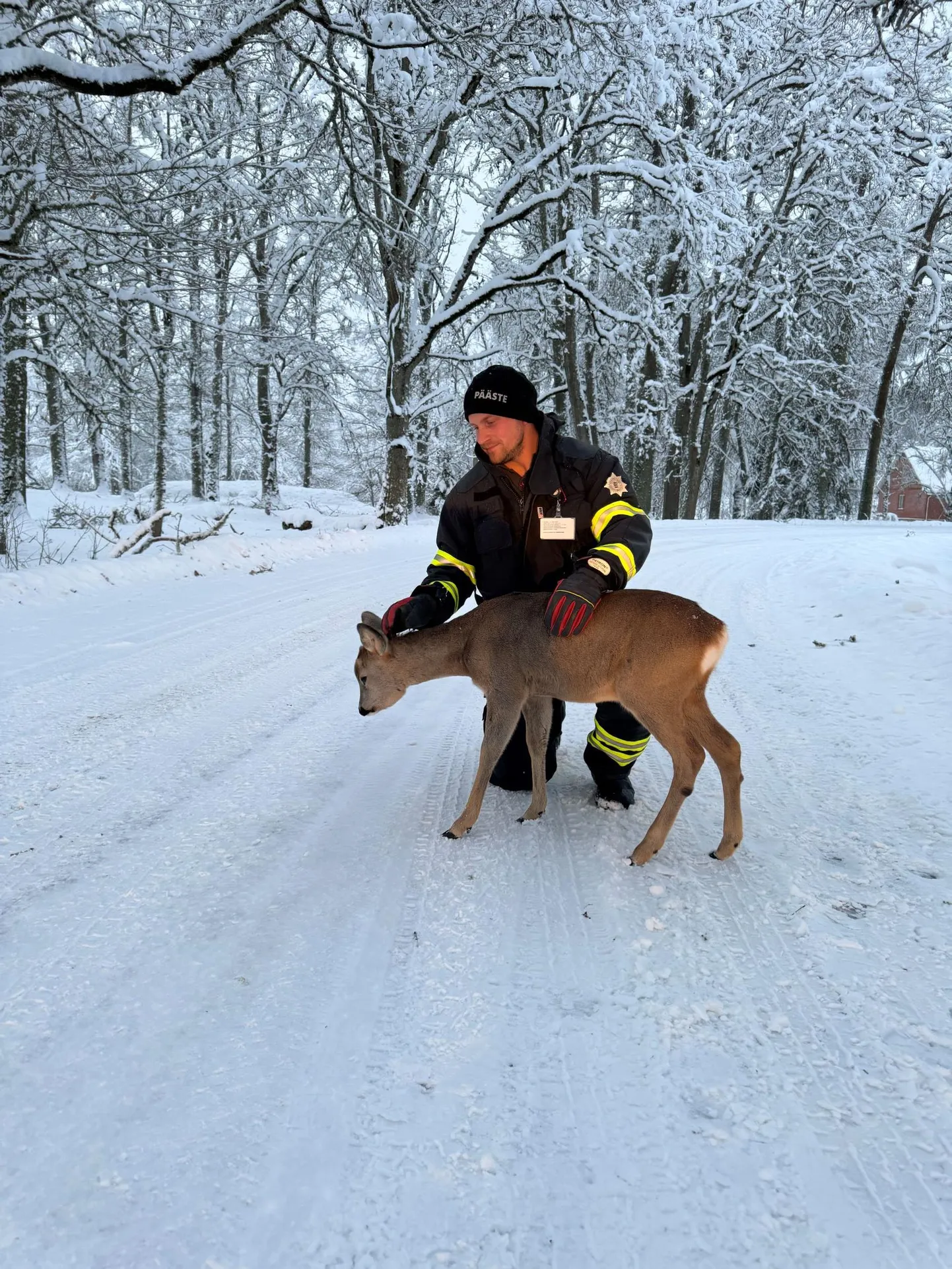Foto sündmuskohalt.