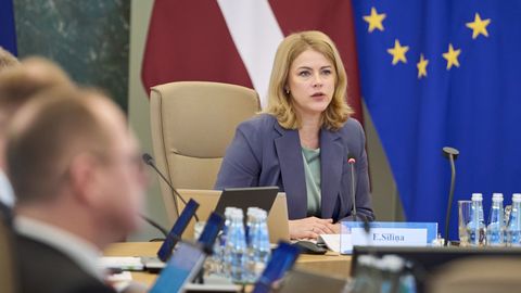 AMATPERSONU DEKLARĀCIJAS ⟩ Pieauguši Siliņas ienākumi un uzkrājumi