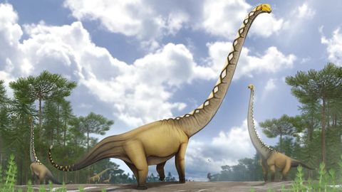 Taist leiti haruldane fossiil, mis võib muuta arusaamu dinosauruste ajastust