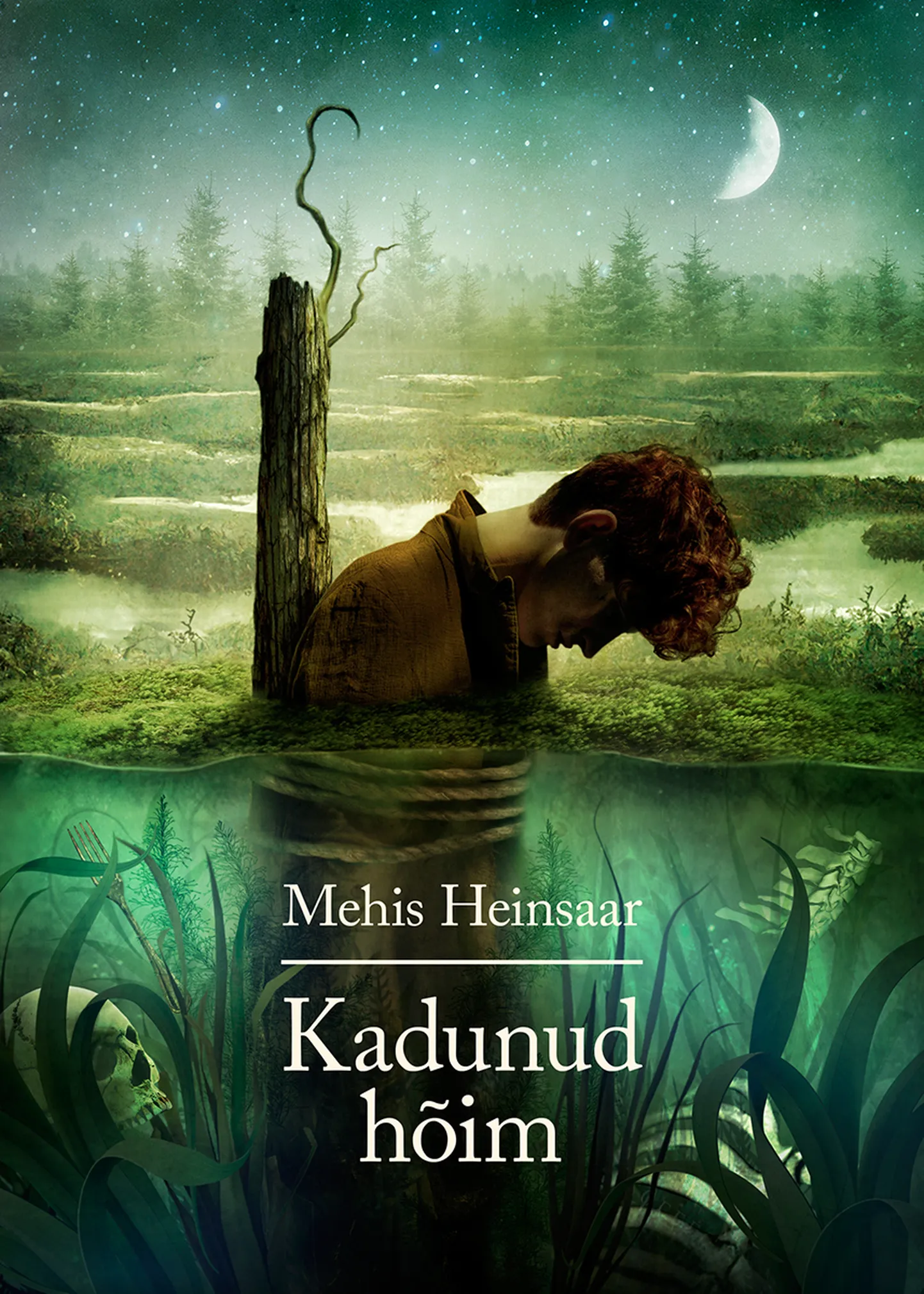 Mehis Heinsaar, «Kadunud hõim».