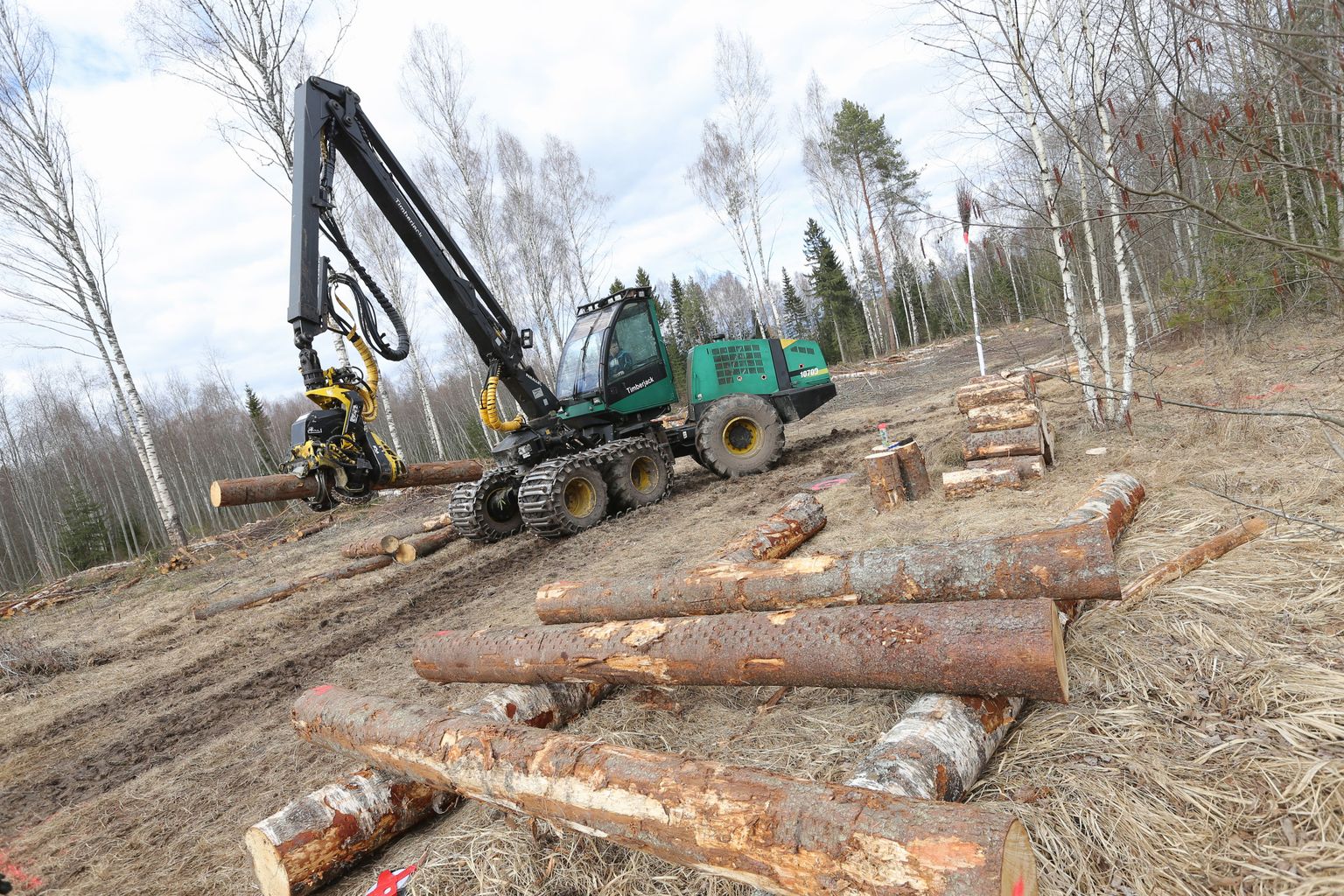 Värkse doktoritöö näitab, et Eesti metsanduses on innovatsioon võõras mõiste ja uuendused tulevad pigem reaktsioonina piirangutele.