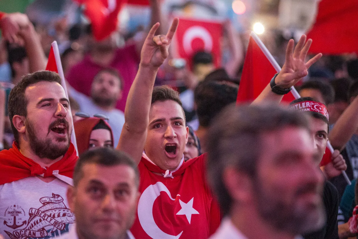 Artikli foto