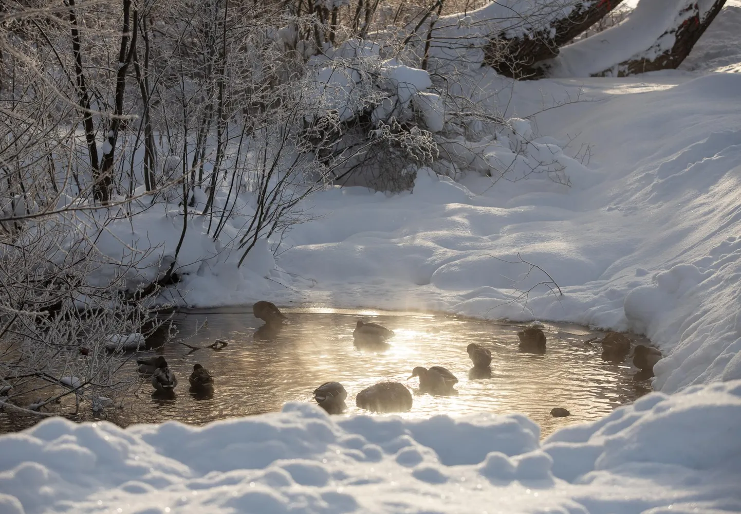 Nädalavahetusel langeb temperatuur 18 miinuskraadini.