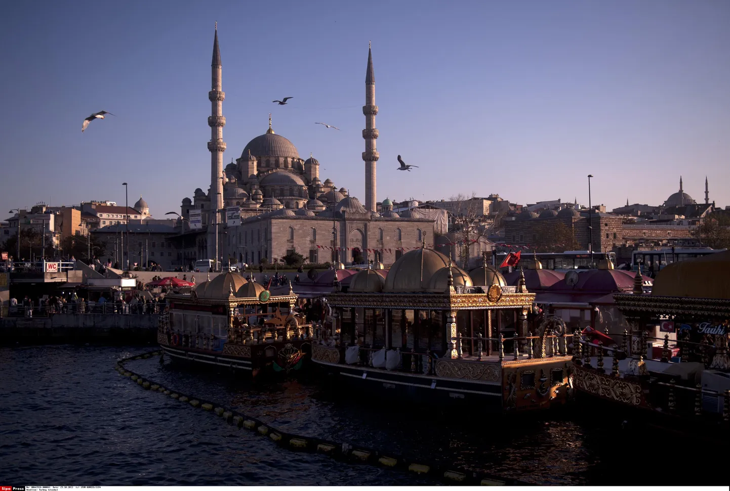 Artikli foto