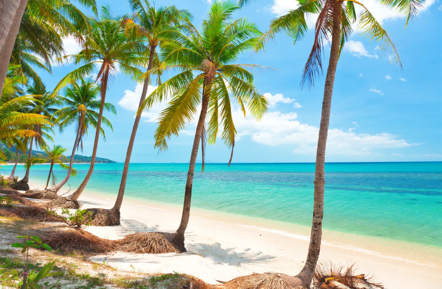 Koh Samui.