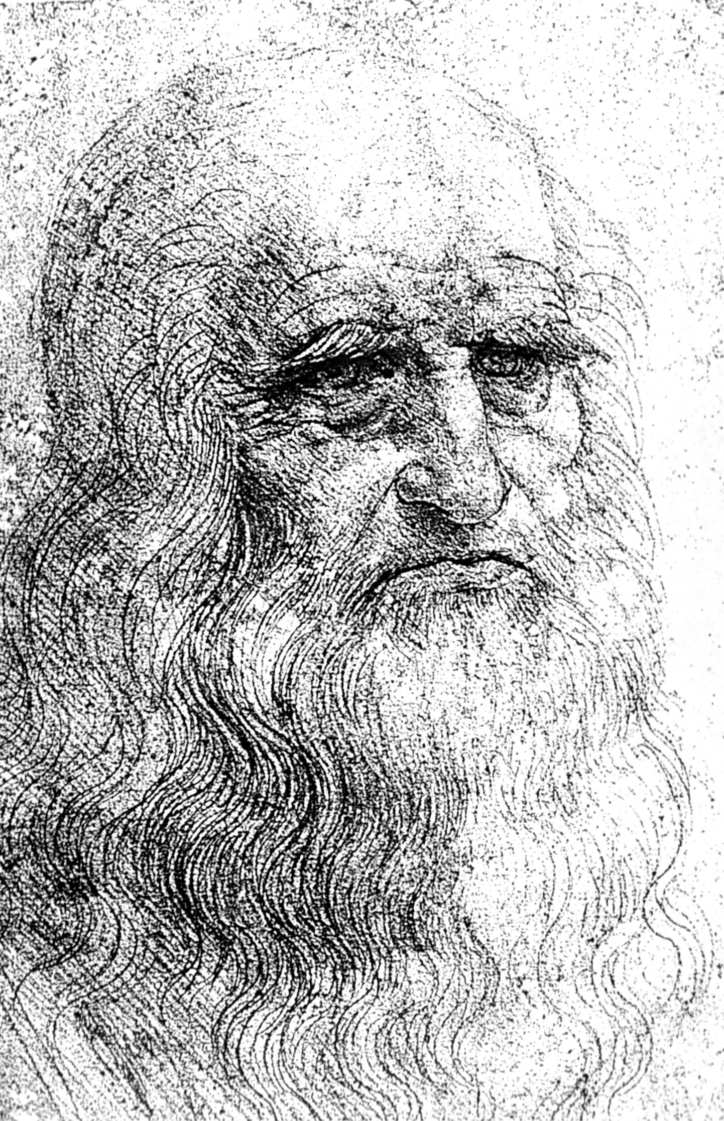 Leonardo da Vinci portree.