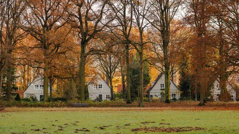 15-aastase tüdruku tapja tabati tänu venna hulljulgele teole