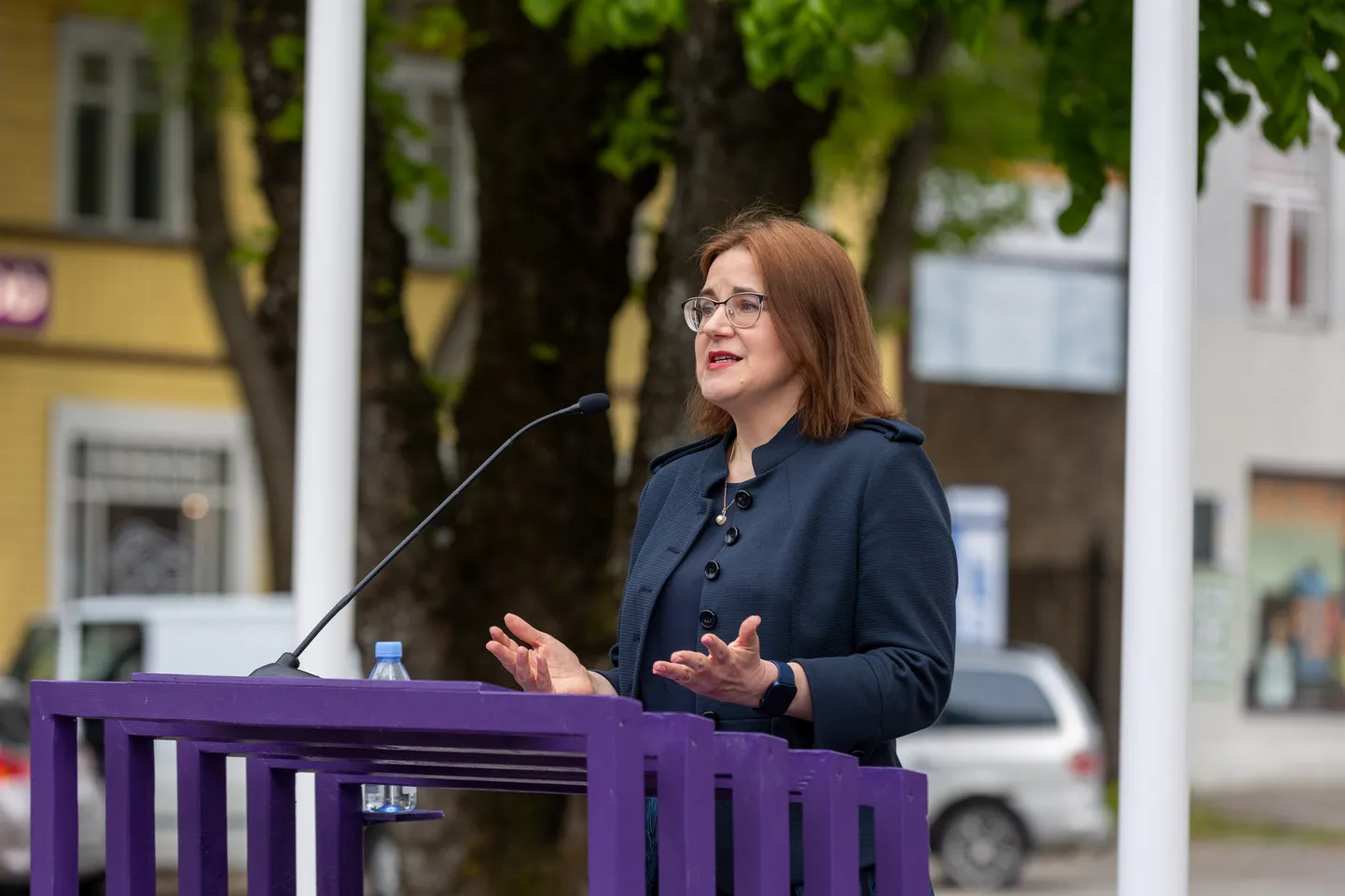 33 kõnet - Liisa Pakosta