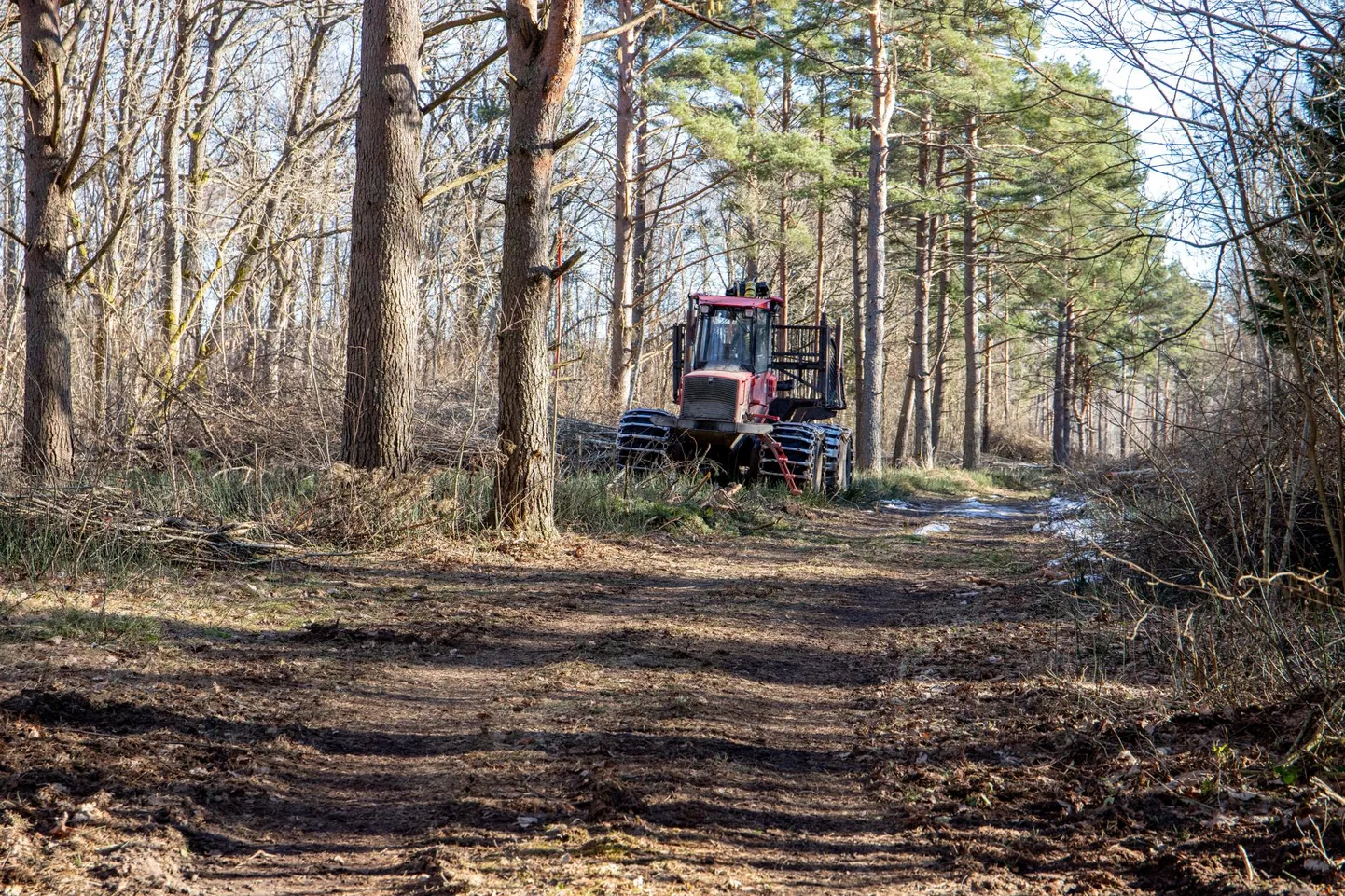 Eesti mets