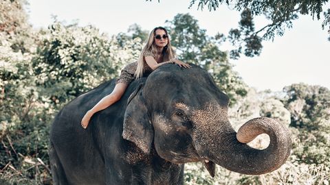 MEELETU JULMUS ⟩ Kas sõit elevandi seljas on seda väärt, et teda aastaid peksta ja piinata?