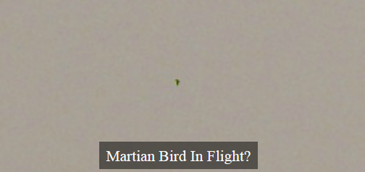 Марсианская птица в полете