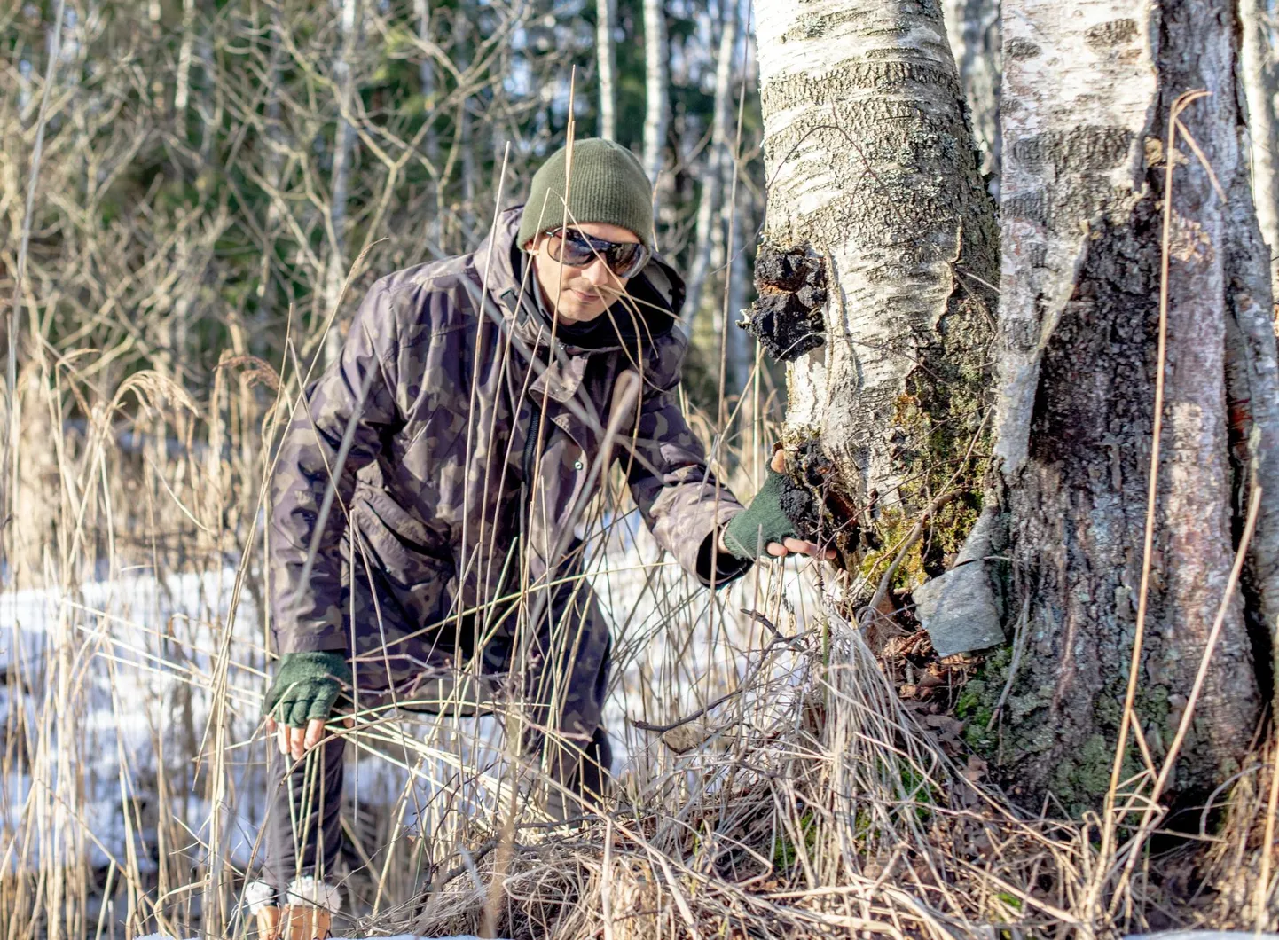 Metsküla Kalju on pässikut korjanud seitse aastat.
