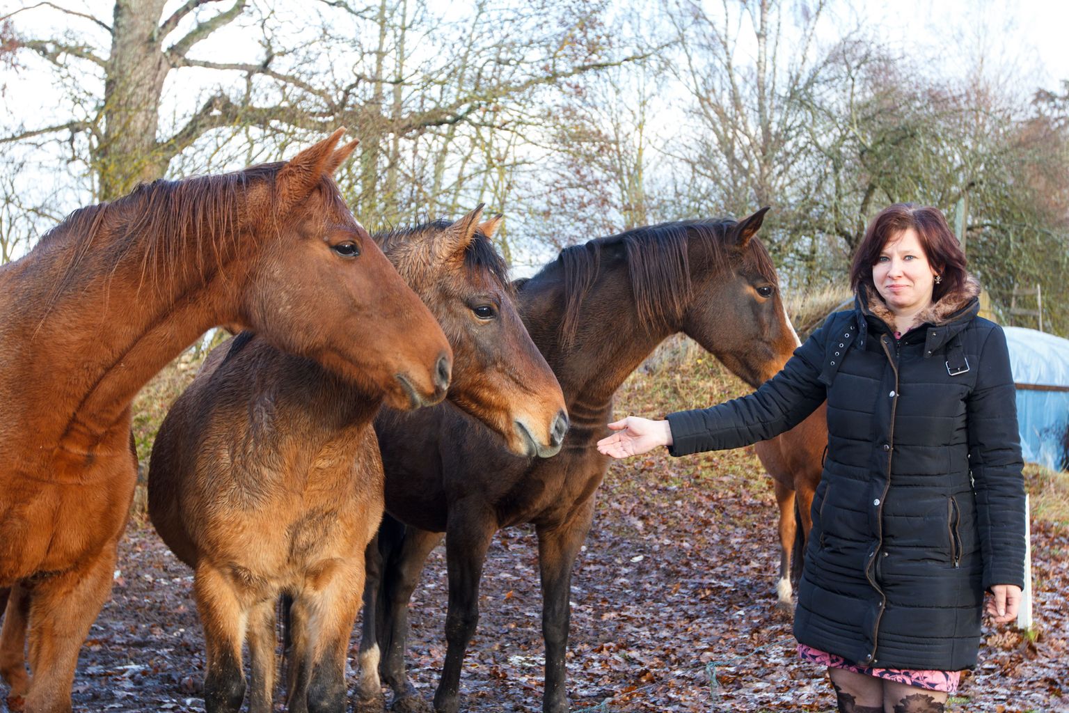 Asendustalunik Marika Soots tunnistab, et oma esimeste hobuste ostmiseks
pidi ta pangalaenu võtma.