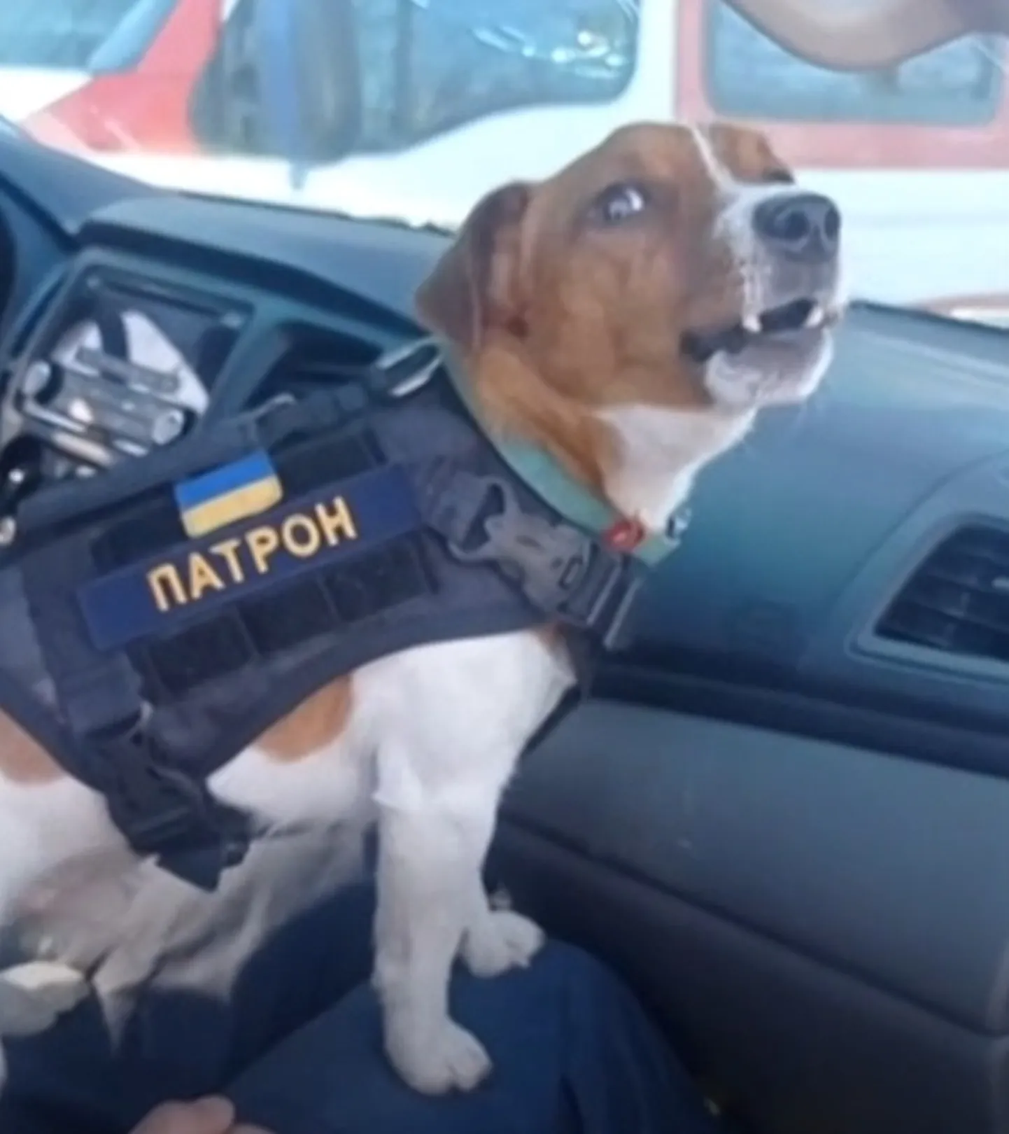 Kuvatõmmis videost