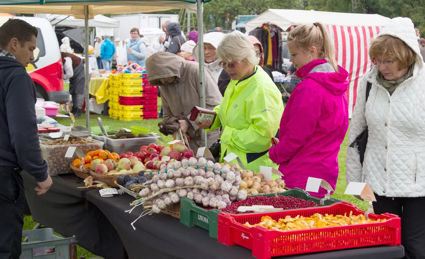 Lüganuse maarahva laadale minnakse ennekõike ikka talukauba ja laadamelu pärast.