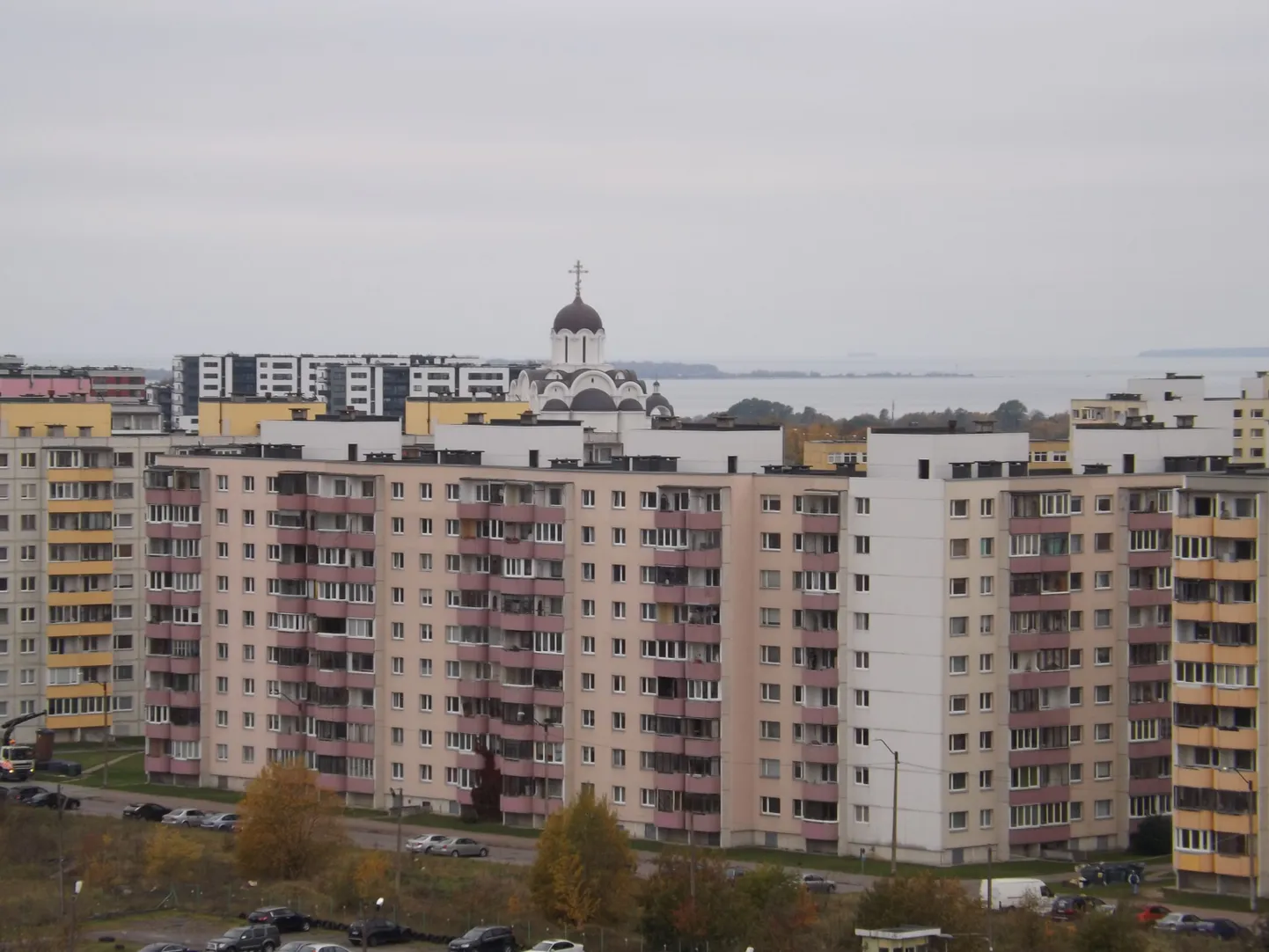 Фото статьи