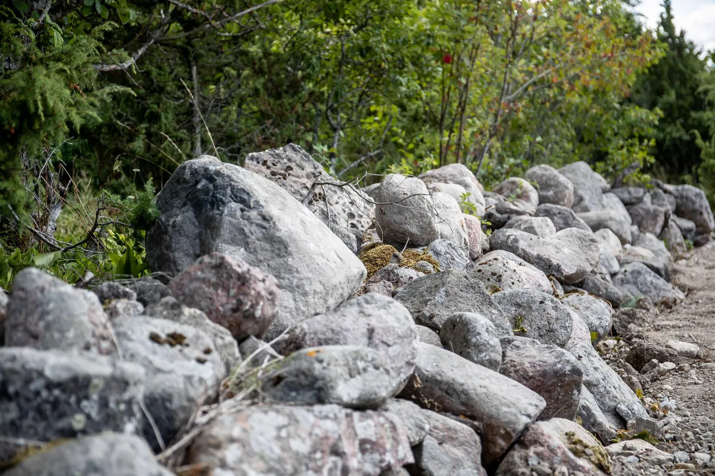 Maakodu piirav vana ja väärikas kiviaed on Muhumaale iseloomulik. 