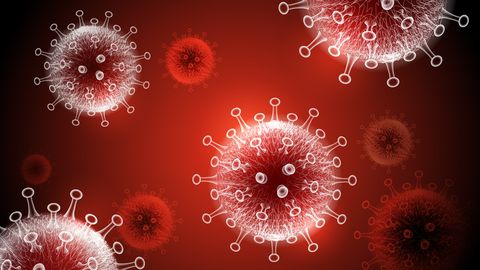 NEW SCIENTIST ⟩ Covid-19 antikehad annavad teatud immuunsuse ka teiste viiruste vastu