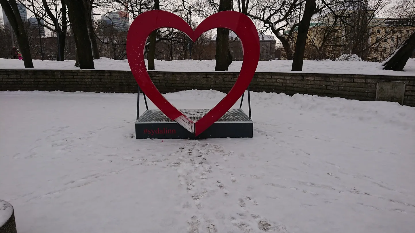 Фото статьи