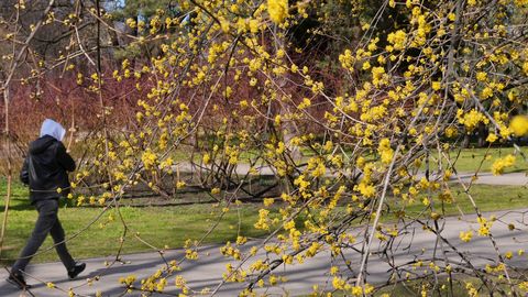 В среду столбик термометра в Латвии поднимется до +18 градусов