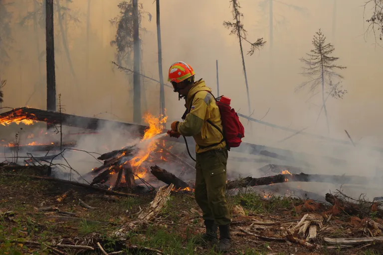 Tuletõrjuja kustutamas metsapõlengut Sahha piirkonnas juuli alguses