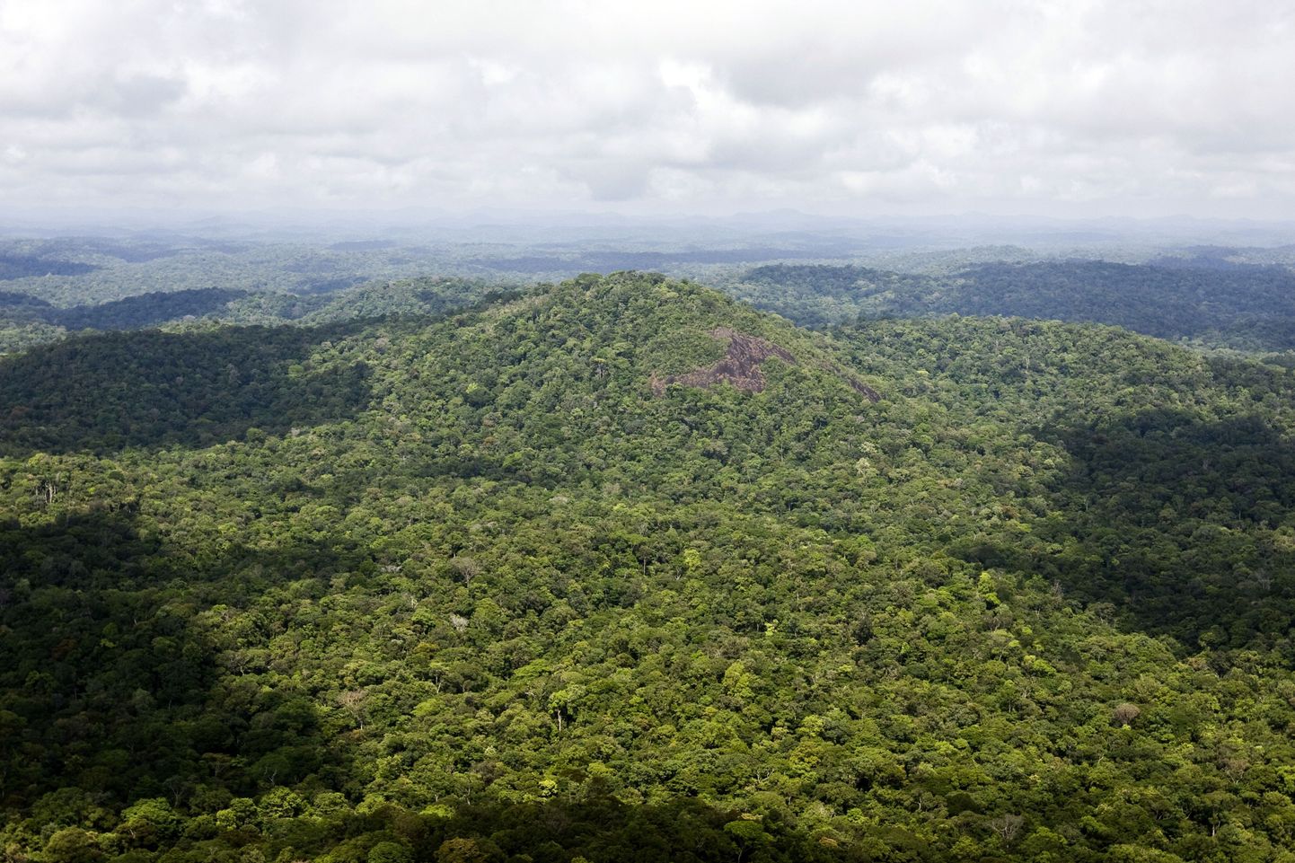 Amazonase džunglis oli kunagi siiani avastamata tsivilisatsioon?