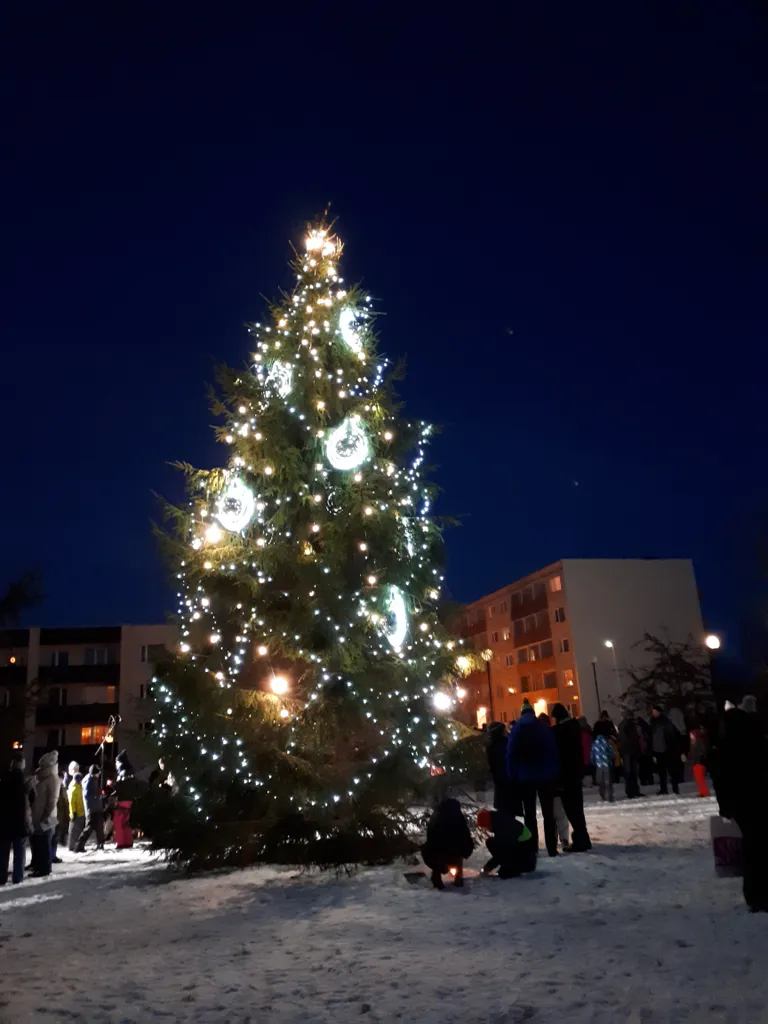 Saue jõulupuu, 2019.