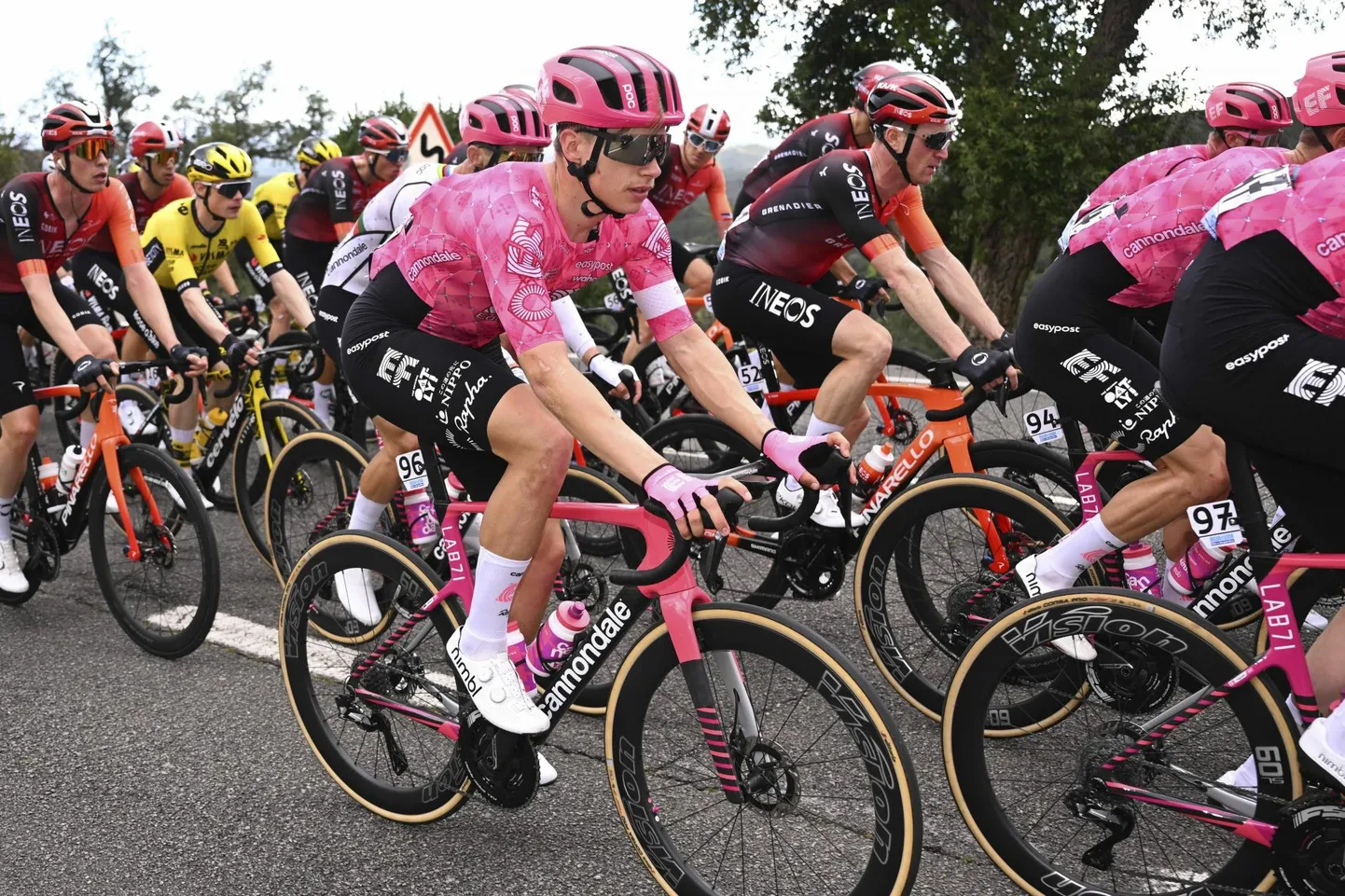Eestlased on ajalooline rattarahvas. Meil on olnud Kirsipuu ajastu, Taaramäe ajastu ja kohe-kohe algamas Madis Mihkelsi võidukäik, kes pildil sõidab veebruaris toimunud Volta Algarve jalgrattavõistlusel.