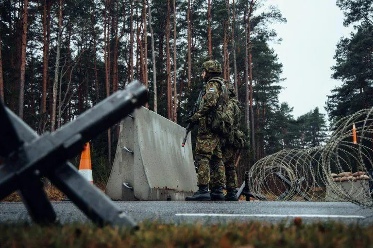 The purpose of the defensive line being established along the borders of the Baltic states is to ensure the defense of the countries from the very first meters.