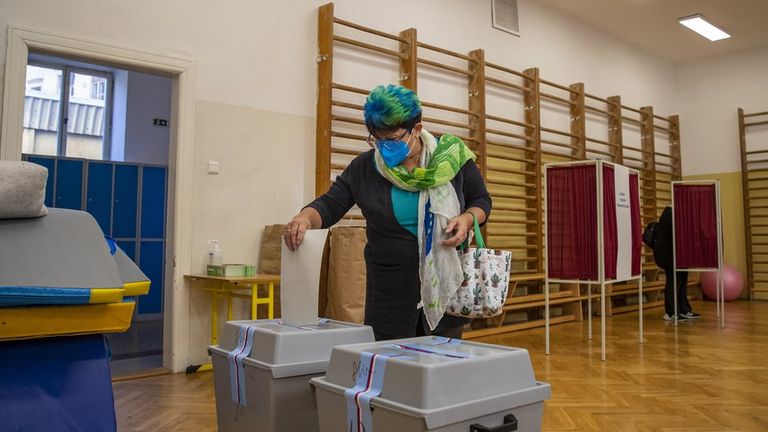 Выборы в Чехии завершились неожиданным результатом