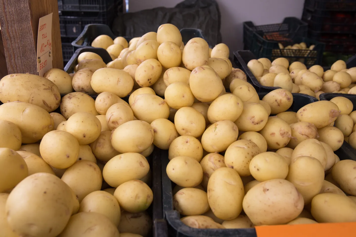 Värske kartul. Foto on illustreeriv.