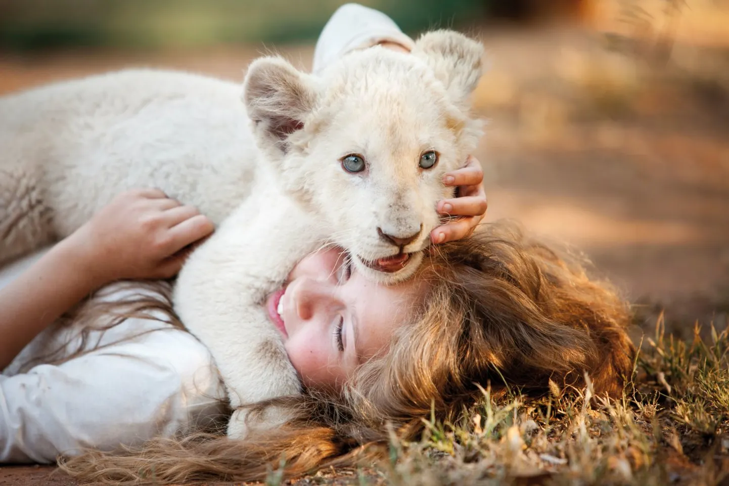 «Mia ja valge lõvi»
