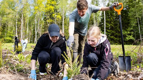 VIDEO & GALERII ⟩ MIKS TULEB KUUSEISTIKUT TUKUSTADA – uue kuusiku rajanud lapsed teavad